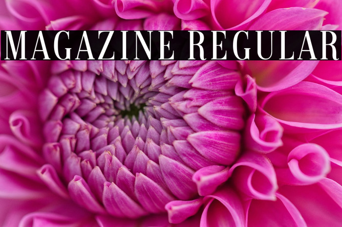 Magazine Regular Example 2