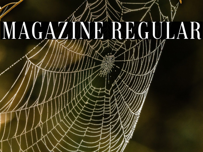 Magazine Regular Example 3