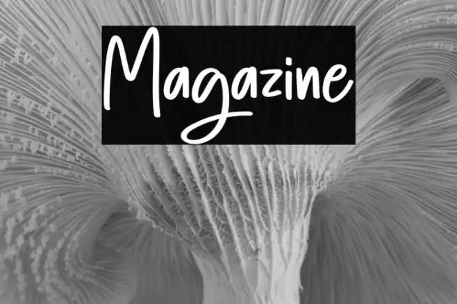 Magazine Example 3