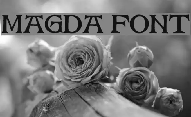 Magda Example 2
