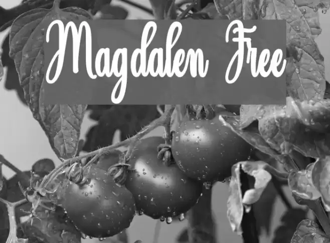Magdalen Free Font examples