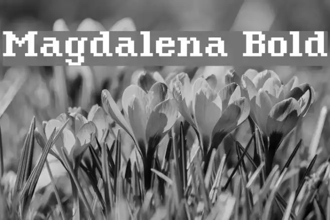 Magdalena Bold Example 1