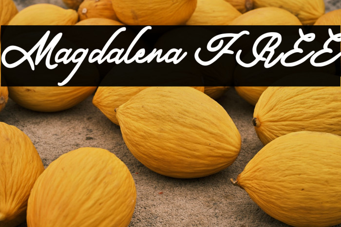 Magdalena FREE Example 1