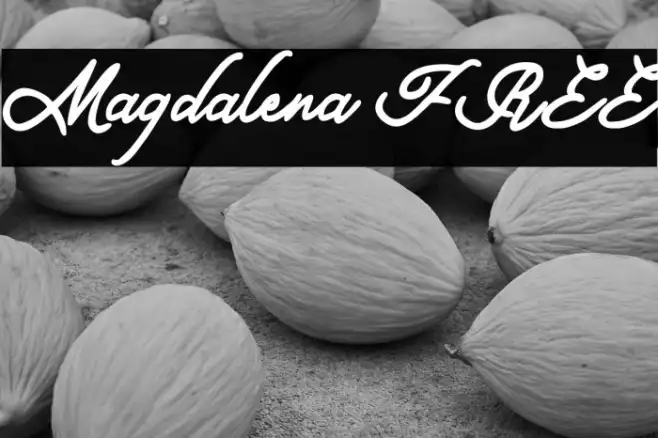 Magdalena FREE Example 1