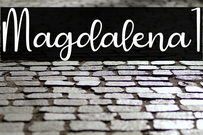 Magdalena1 Example 1