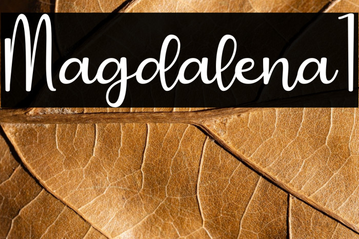 Magdalena1 Example 2