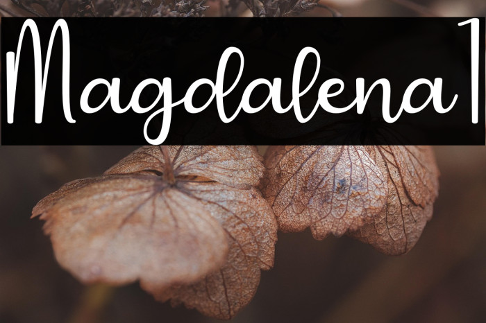 Magdalena1 Example 3