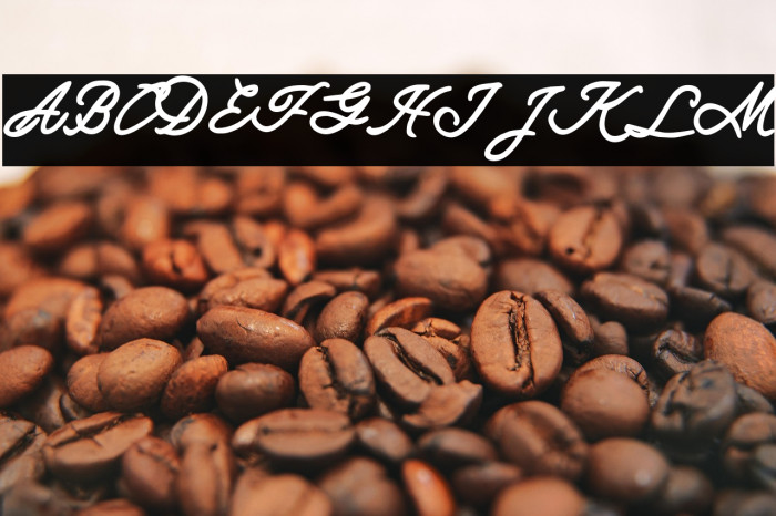 MagdalenaFREE Example 1