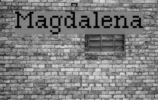 Magdalena Font examples