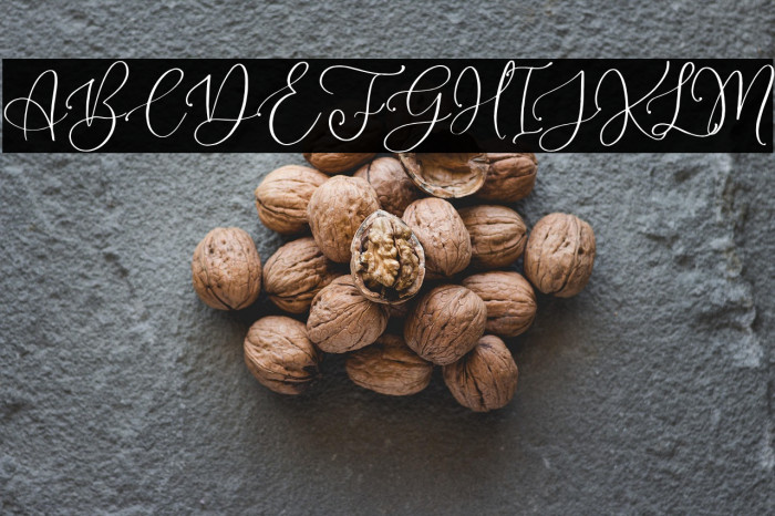 MagdalineDEMO Example 1