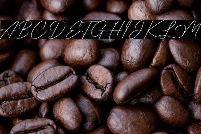 Magdallena Example 1