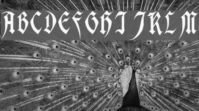 Magdelena Regular Font examples