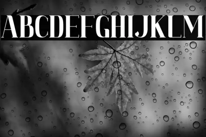 Magdelin Font examples