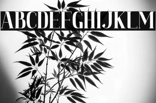 Magdelin Font examples