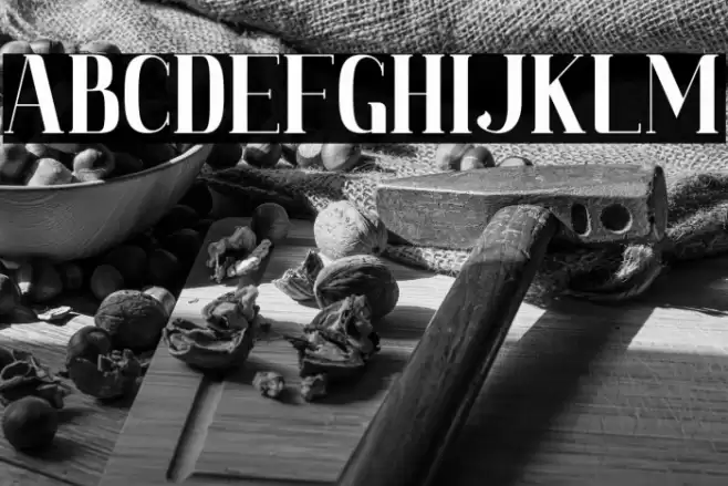 Magdelin Font examples