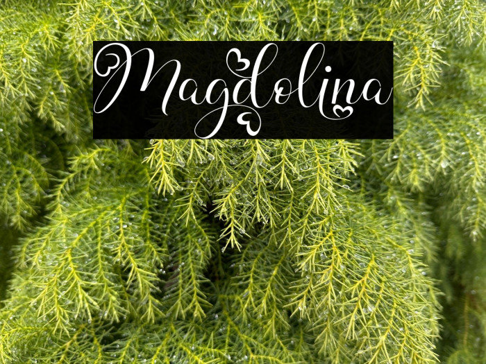 Magdolina Example 3