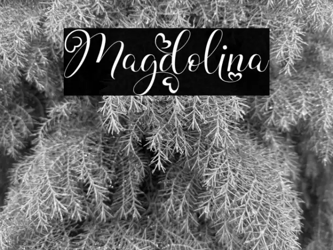 Magdolina Font examples