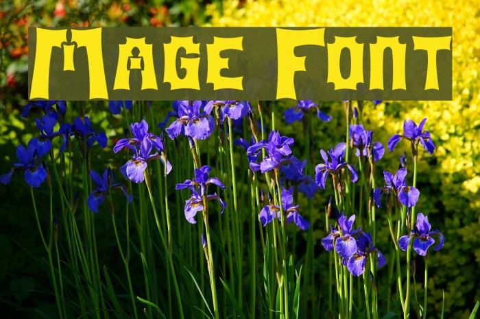 Mage Font examples