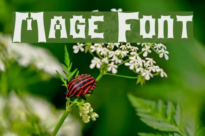 Mage Font examples