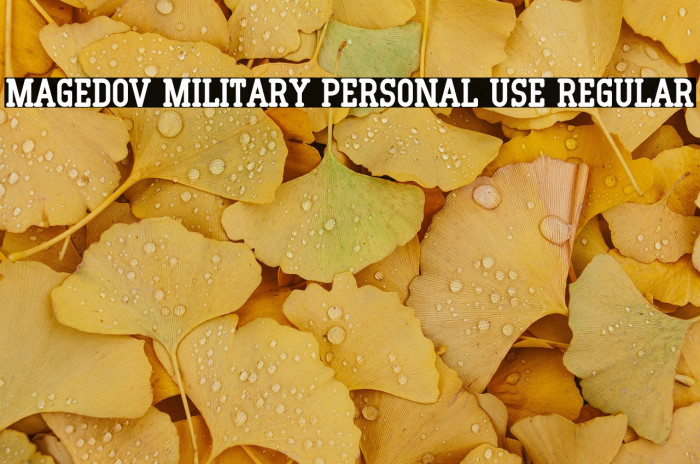 Magedov Military PERSONAL USE Regular Example 1