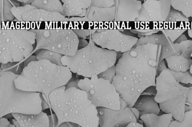 Magedov Military PERSONAL USE Regular Font examples