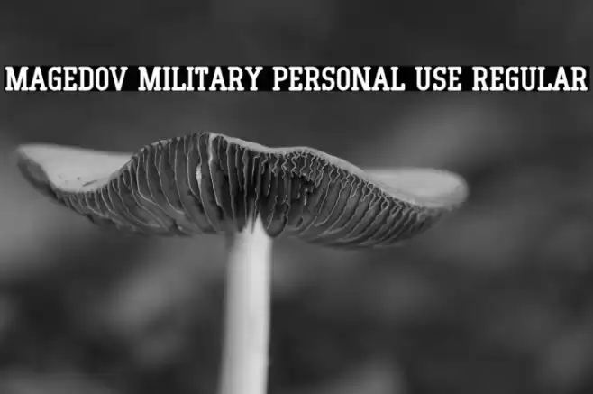 Magedov Military PERSONAL USE Regular Font examples