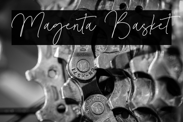 Magenta Basket Example 1