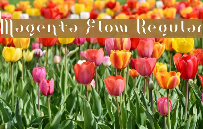 Magenta Flow Regular Font examples