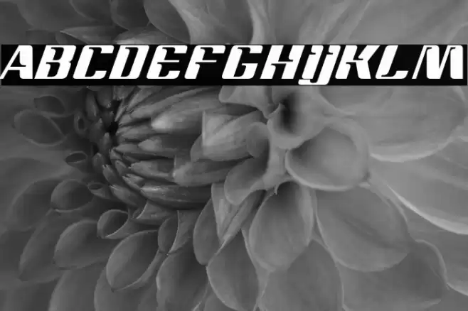 Magenta Font examples