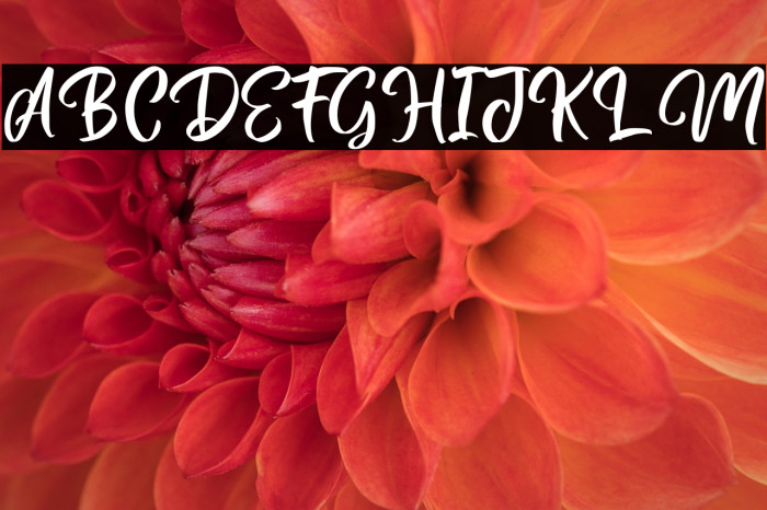 MagentasiaFreePersonalUse Example 3