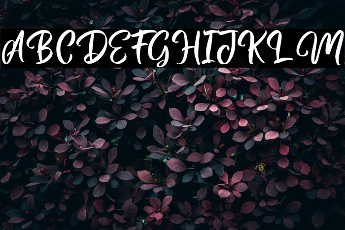 MagentasiaFreePersonalUse Example 2