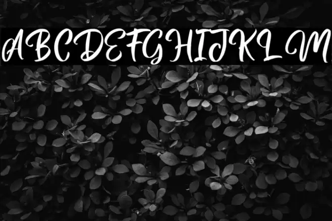 MagentasiaFreePersonalUse Font examples