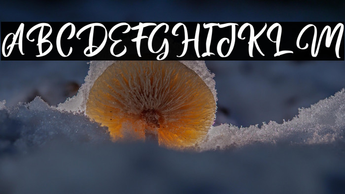 MagentasiaFreePersonalUse Example 3