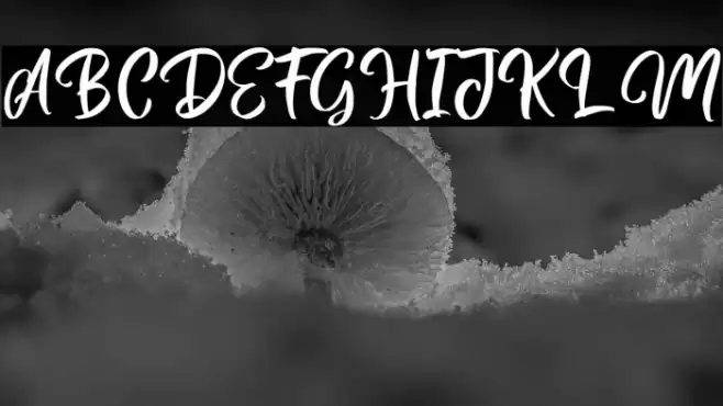 MagentasiaFreePersonalUse Font examples