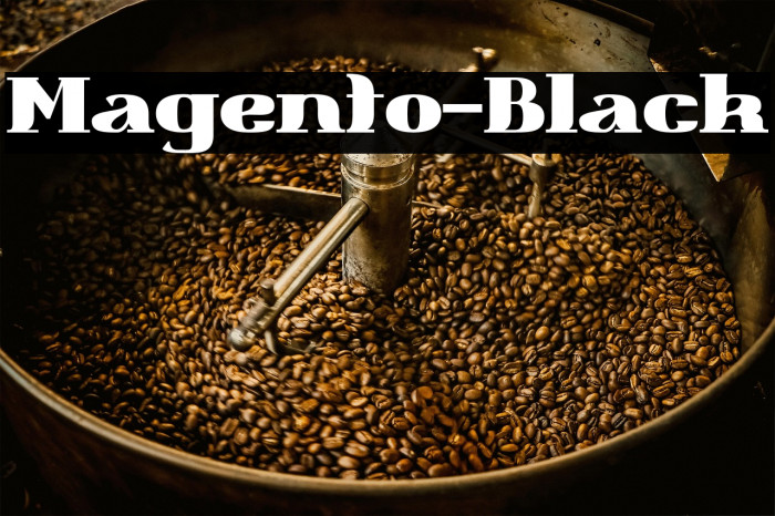 Magento-Black Example 1