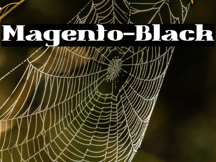 Magento-Black Example 3