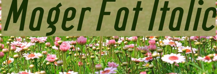 Mager Fat Italic Font examples