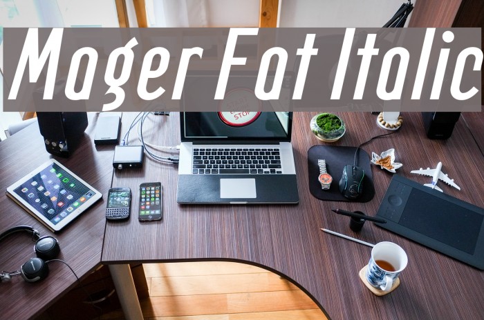 Mager Fat Italic Font examples