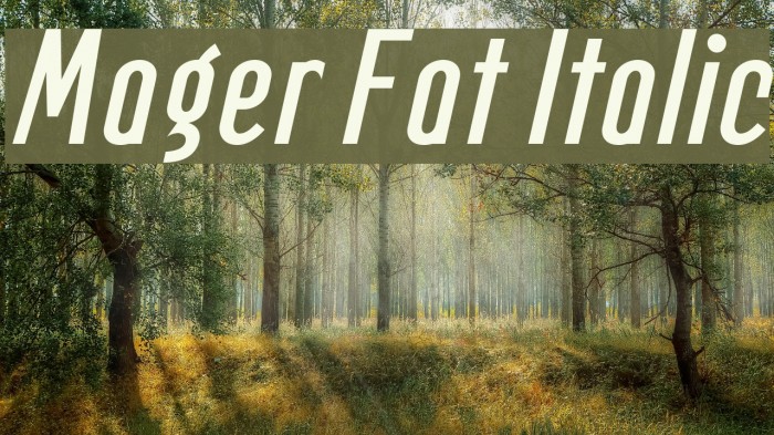 Mager Fat Italic Font examples