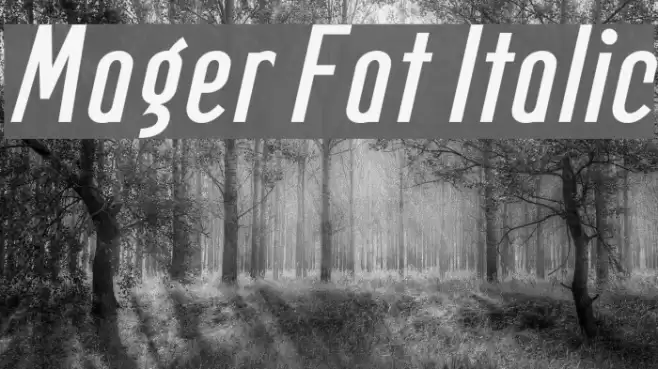 Mager Fat Italic Шрифта examples