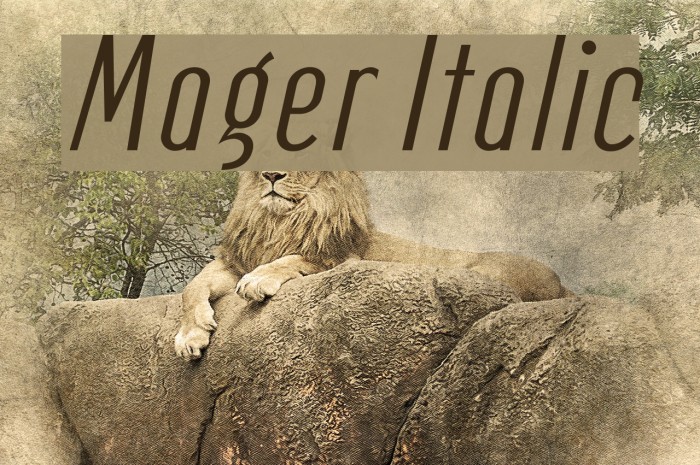 Mager Italic Font examples