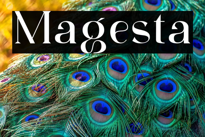 Magesta Example 1