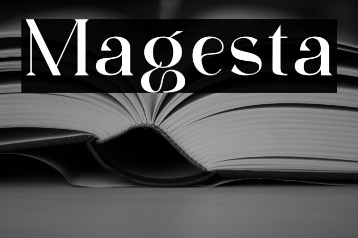 Magesta Example 2