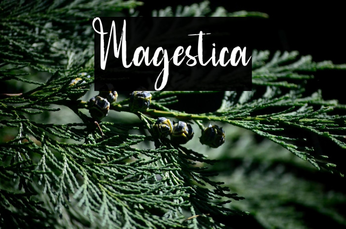 Magestica Example 1