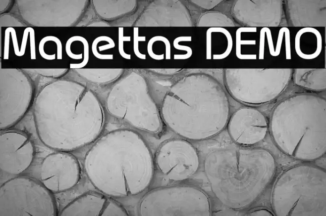 Magettas DEMO Example 2