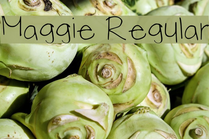 Maggie Regular Font examples