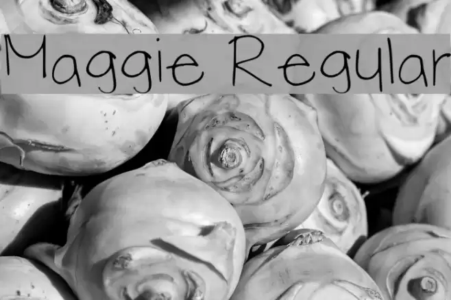 Maggie Regular フォント examples