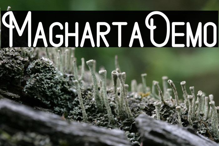 MaghartaDemo Example 2