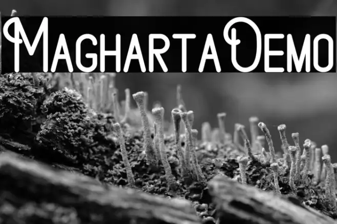 MaghartaDemo Example 2