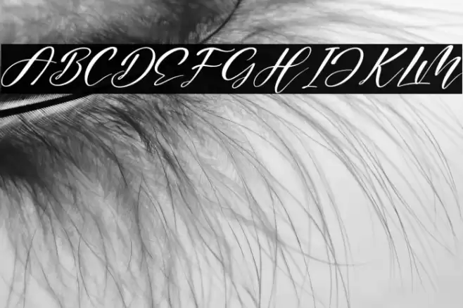 Maghdela Italic Font examples